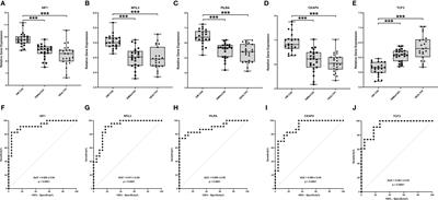 Transcriptional profiles associated with coronary artery disease in type 2 diabetes mellitus